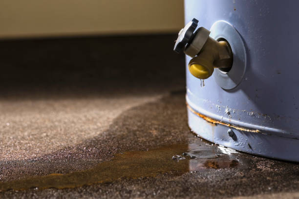 Best Local water damage restoration  in Muleshoe, TX