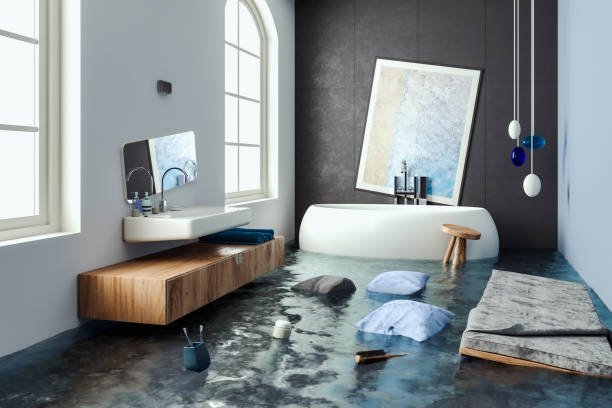 Reliable Muleshoe, TX Water damage restoration Solutions
