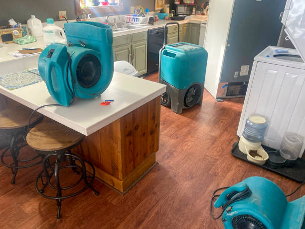 Water damage restoration insurance claims in Muleshoe, TX