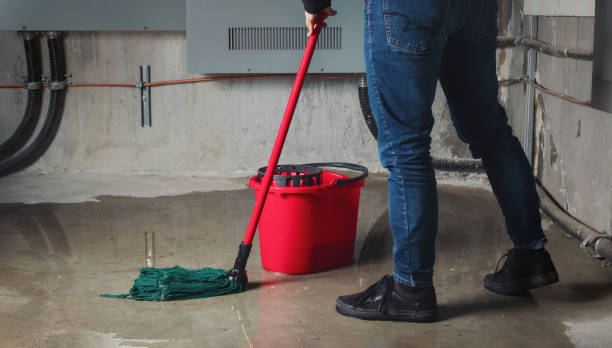 Best Basement water damage restoration  in Muleshoe, TX