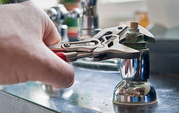 Best Water damage restoration mold remediation  in Muleshoe, TX