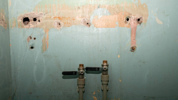 Best Water damage contractors near me  in Muleshoe, TX