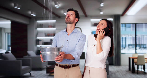Best Flooded house restoration  in Muleshoe, TX